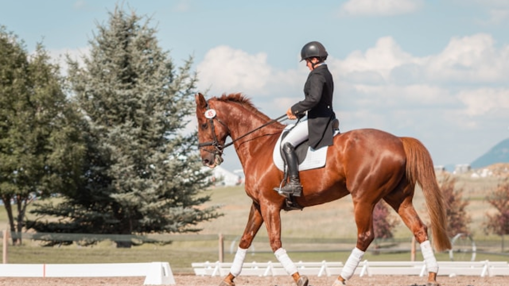 A photo of a woman riding a horse