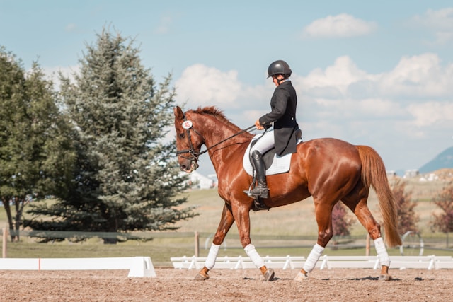A photo of a woman riding a horse