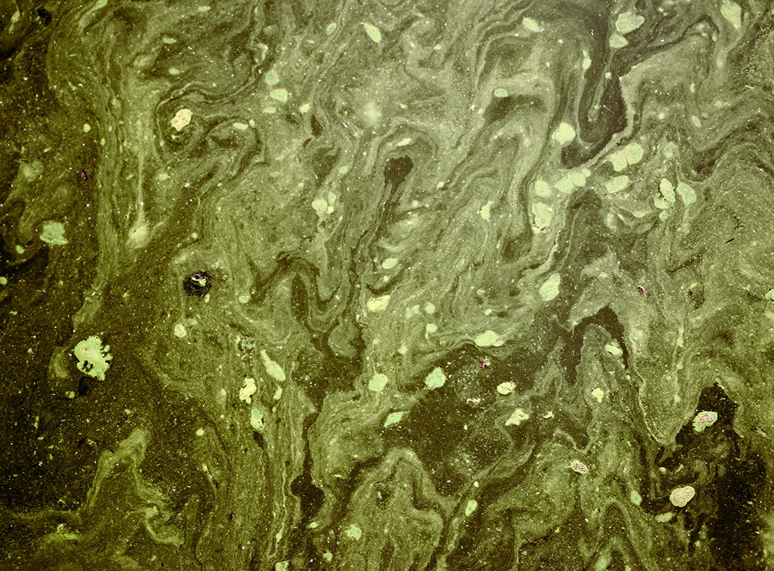 An image of highly contaminated water