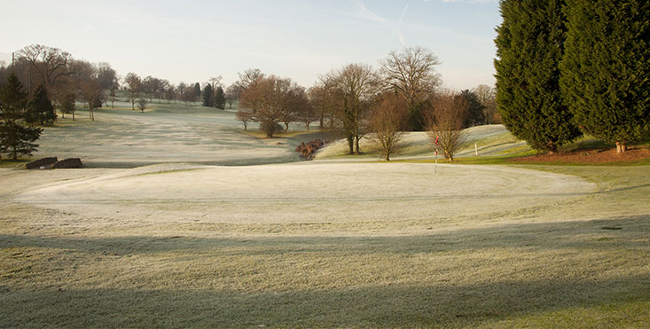 An image of a golf course in frost