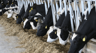 Mawdsleys providing pump services for farm