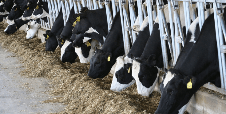 Mawdsleys providing pump services for farm