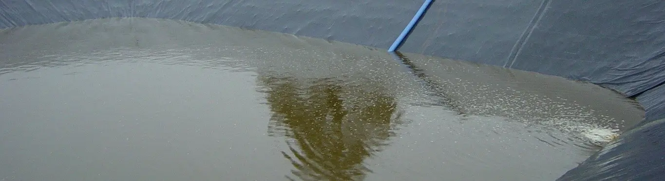 An image of contaminated water