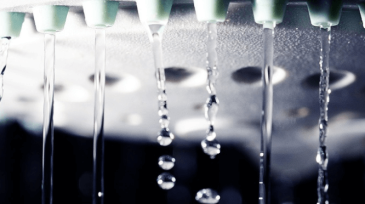 Low pressure water coming from shower head