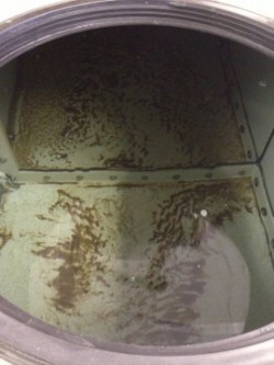 clean water tank needing to be Chlorinated, Disinfected and Cleaned.