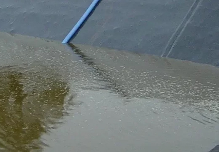 An image of contaminated water